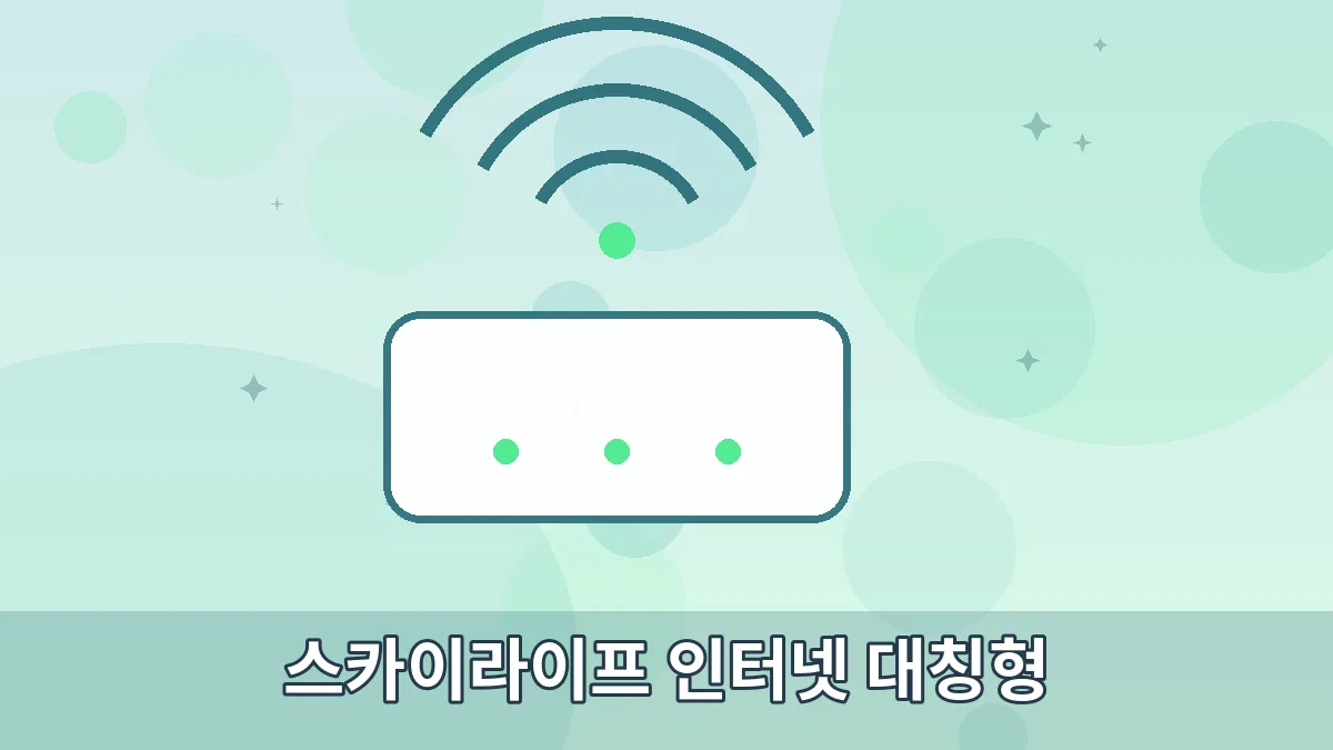 스카이라이프 인터넷 대칭형 안내 이미지 3