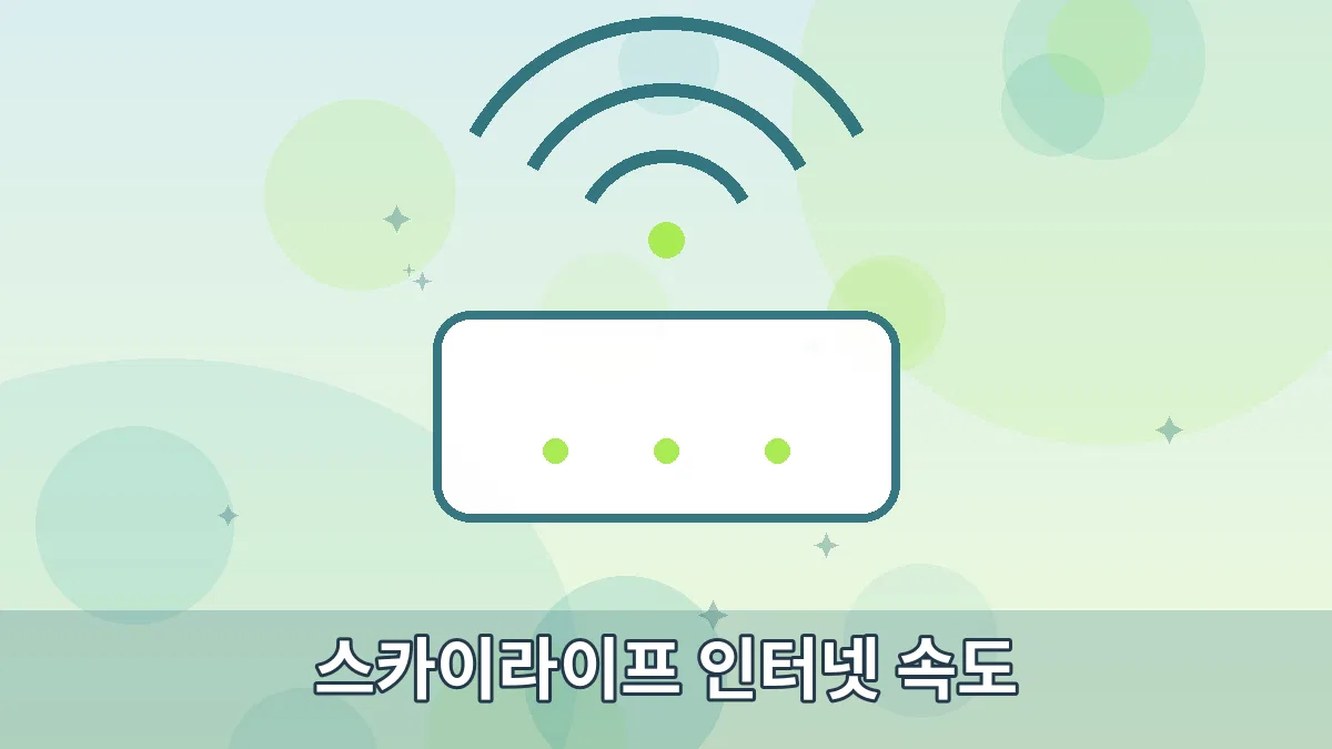 스카이라이프 인터넷 속도 안내 이미지 1